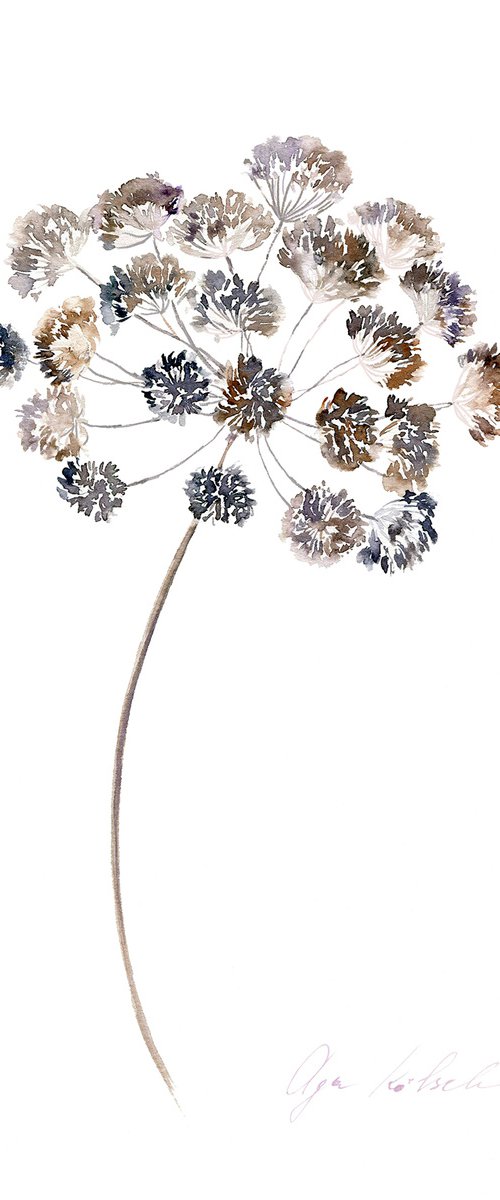 Dried Grass Collection 5 by Olga Koelsch
