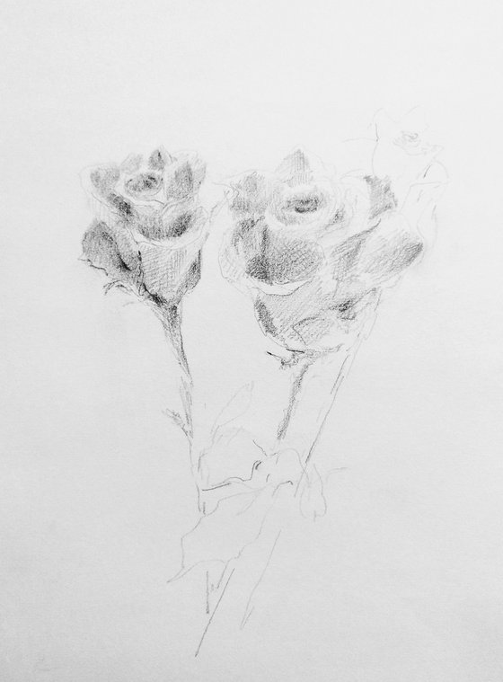 Roses #6. Original pencil drawing