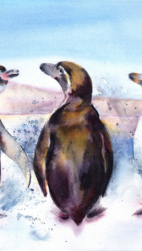 Three Amigos, Penguin watercolour painting by Anjana Cawdell