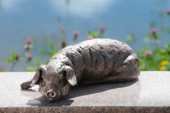 Lying Piglet BR