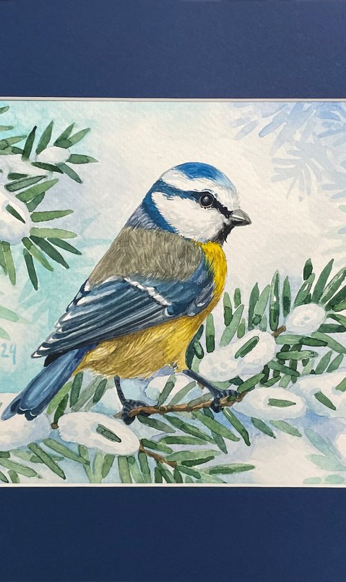 Titmouse by Jolanta Czarnecka