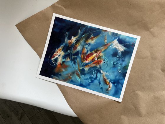 Orange Koi Fish Sunlight Water
