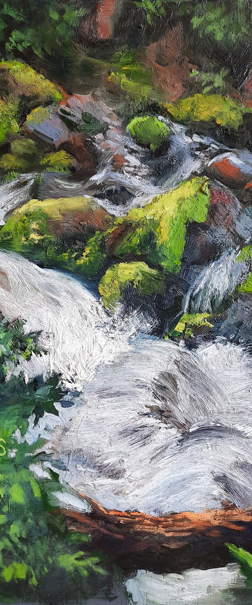 Mountain fresh by Irina Sergeyeva
