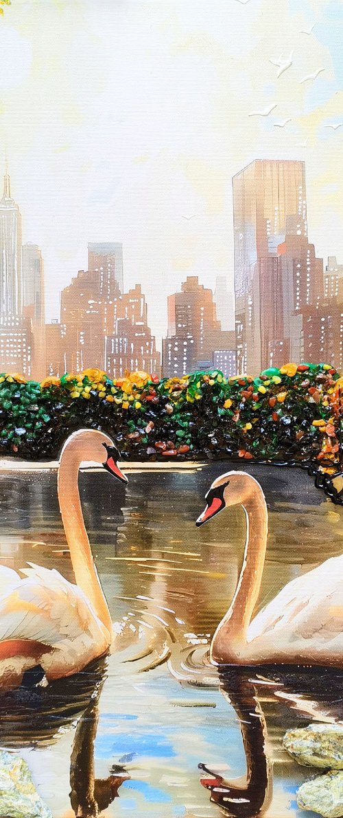 Swans in Central Park by BAST