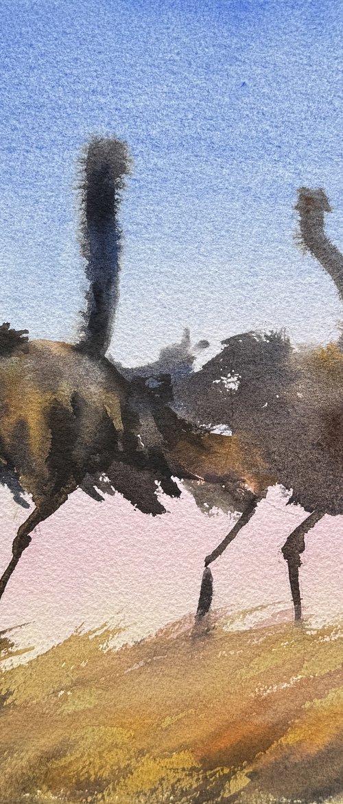 Dancing ostriches by Shelly Du