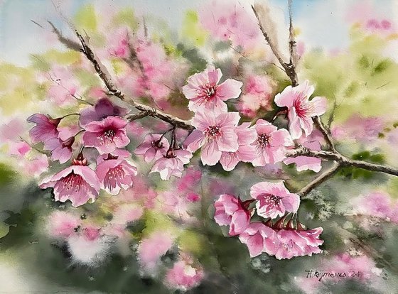 Sacura branched, pink flowers