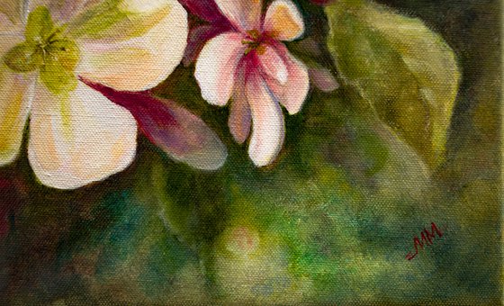 In Spring Mood