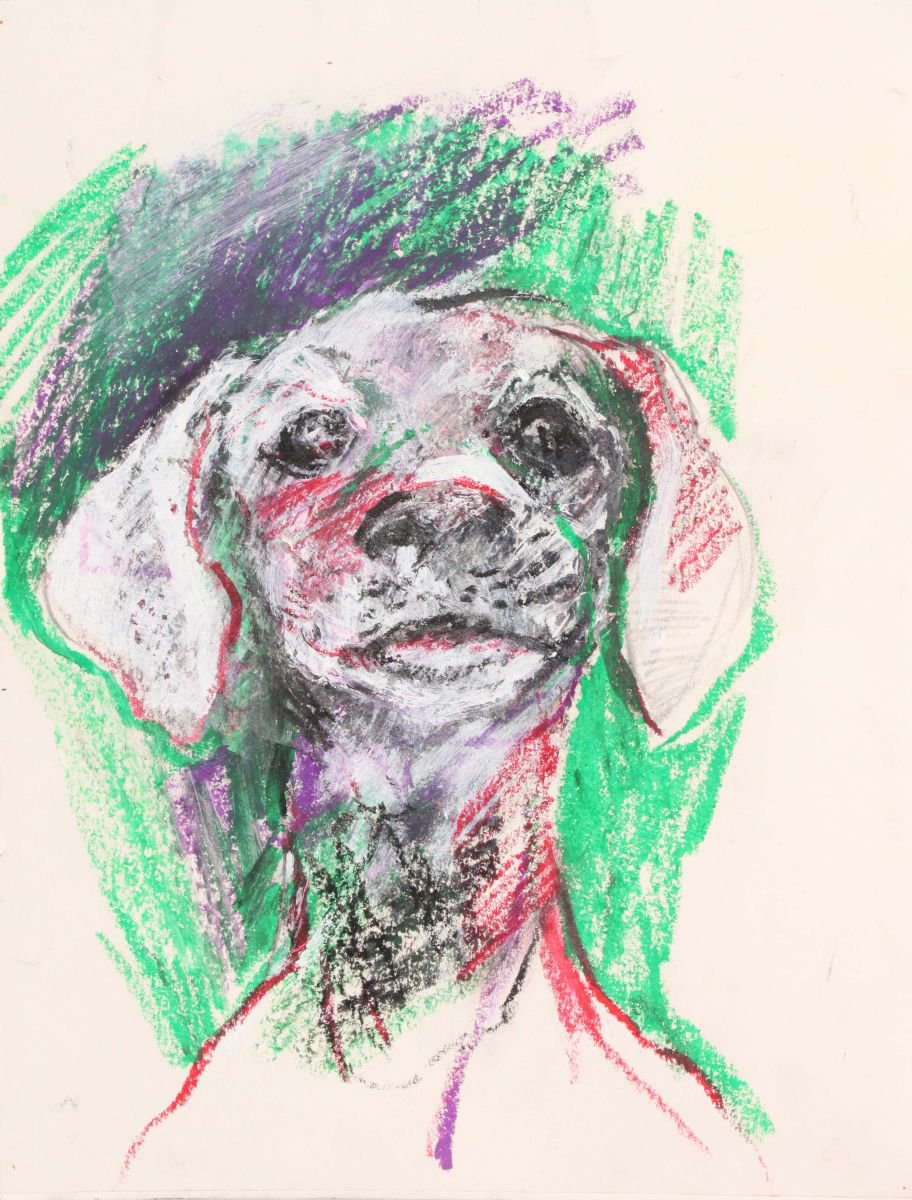 Dog Study by Margit Platny
