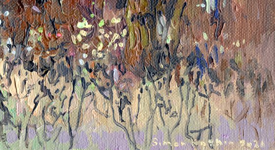 A spruce on a winter boulevard at night