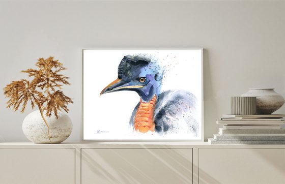 Cassowary bird