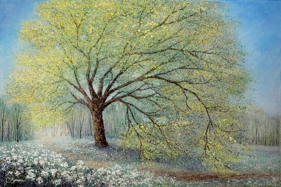 SPRINGTIME ON THE OLD OAK PATH