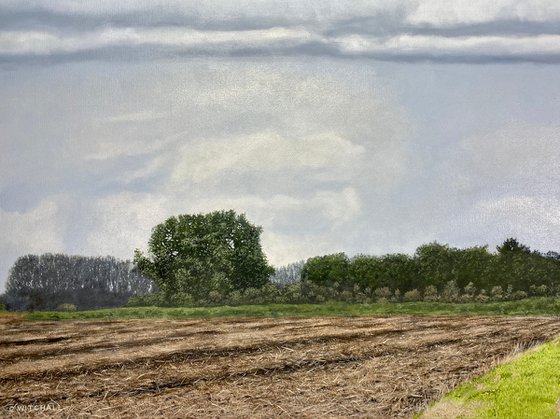 Rain Clouds Over Farmland