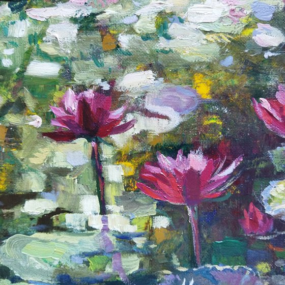 Water Lilies