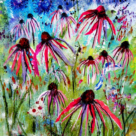 Echinaceas