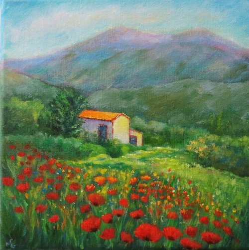 Cottage in Provence by Maureen Greenwood