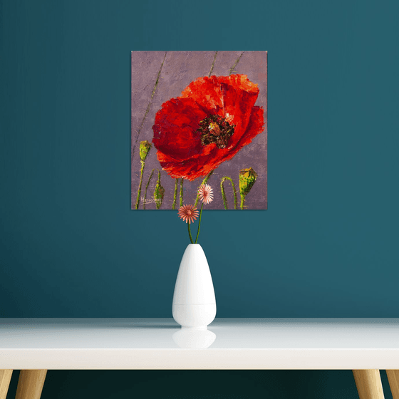 Red poppy