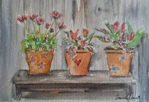 Three flower pots by Samantha Adams