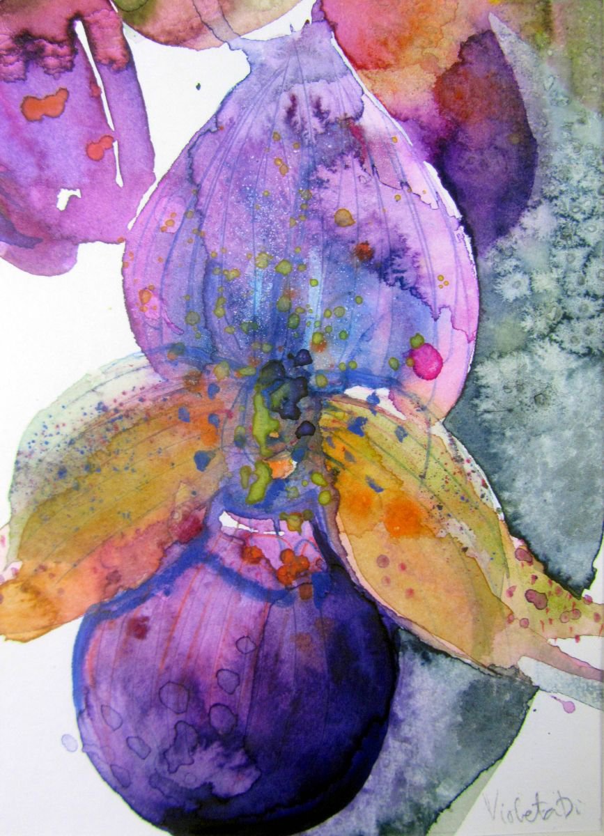 Orchid overdose by Violeta Damjanovic-Behrendt