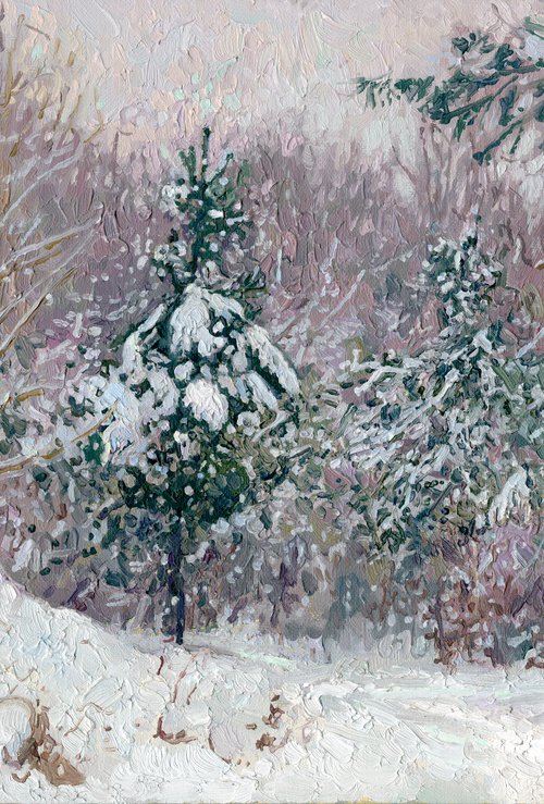 Snow-covered pine trees in Kuzminki Park by Simon Kozhin