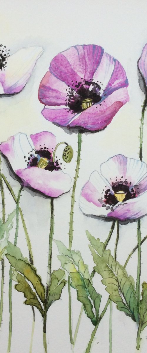 Purple Poppies by Angela Rendall