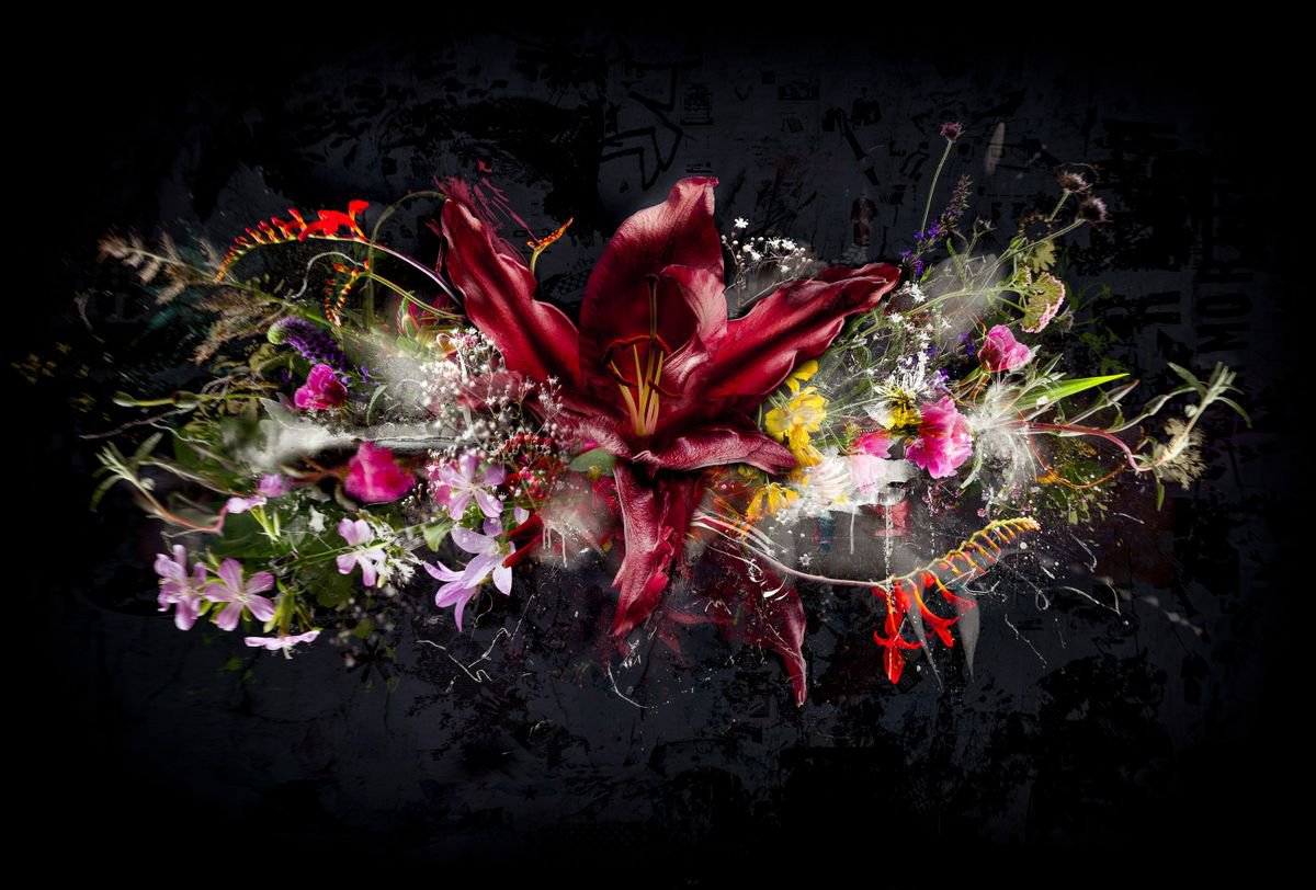 Bouquet XXVI by Teis Albers