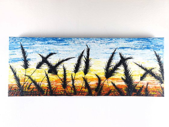Sunrise In The Grass.
