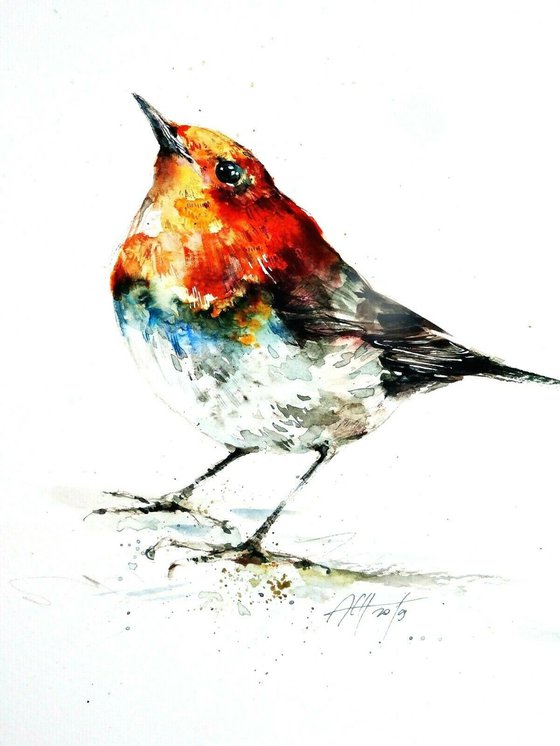 robin original watercolour