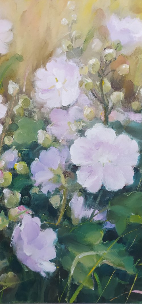 Mallows in the grass by Valentina Andrukhova