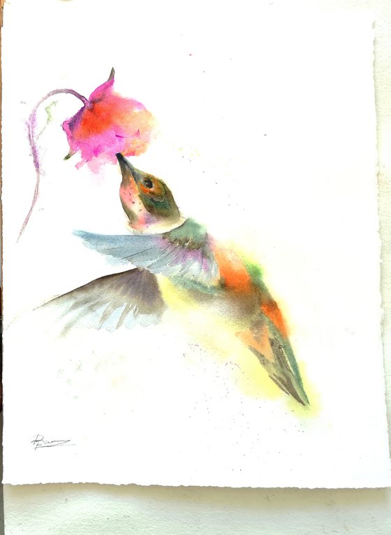 Hummingbird and pink flower