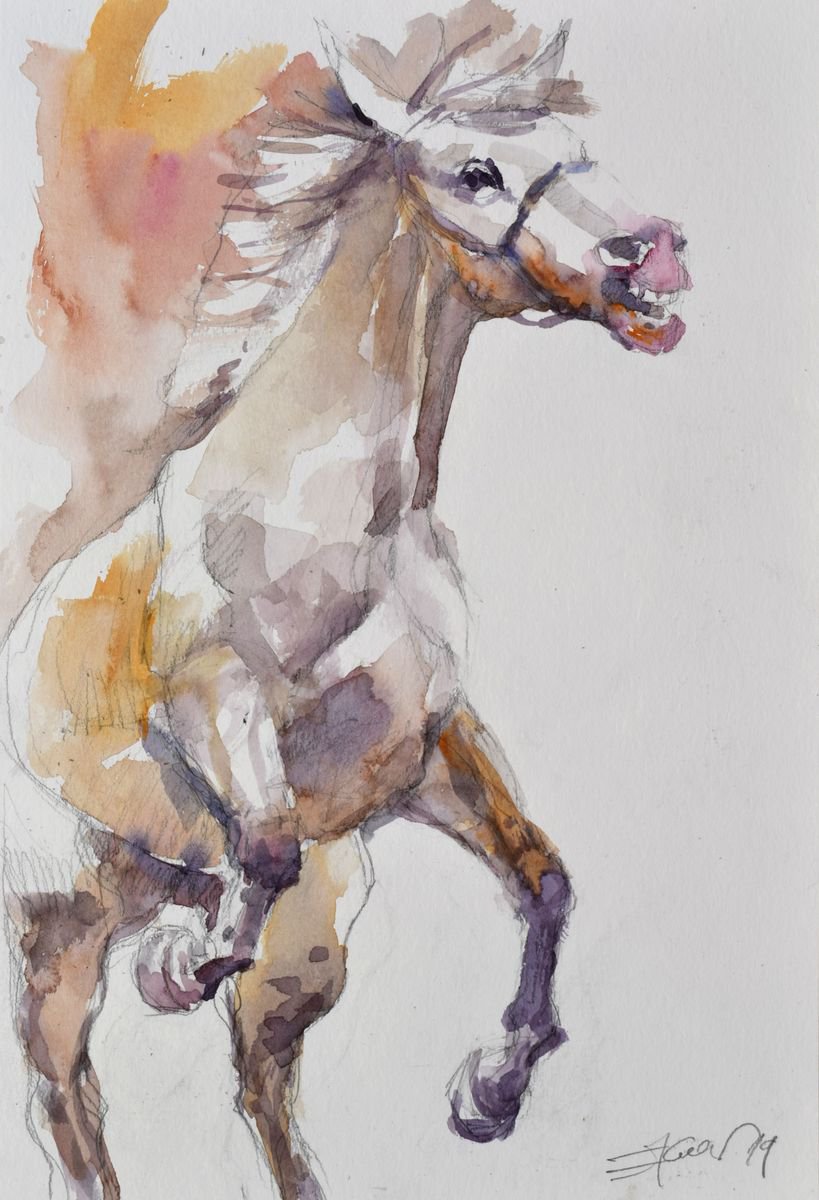 Prancing horse study 4 by Goran Zigolic Watercolors
