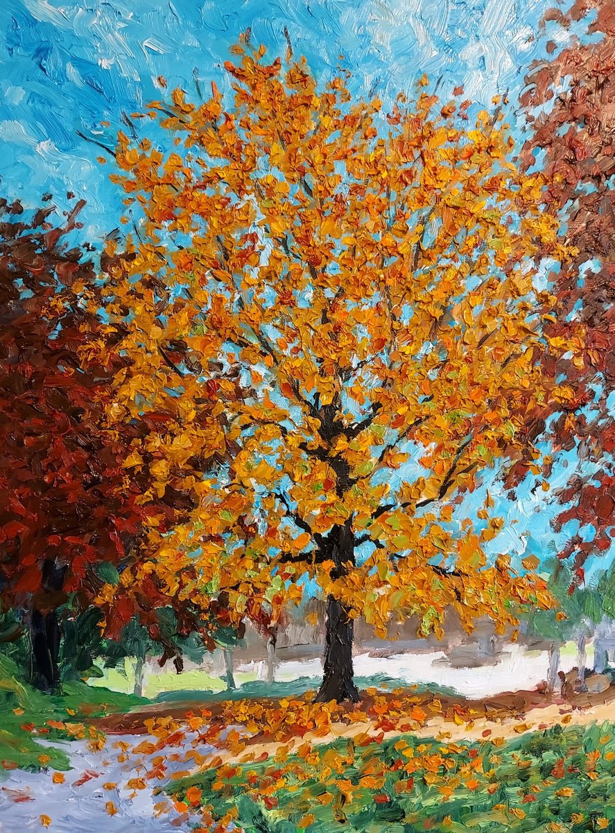 Botanical Oil Painting By Colin Ross Jack, 20 X 26, Autumn Tree #1, Original Artwork