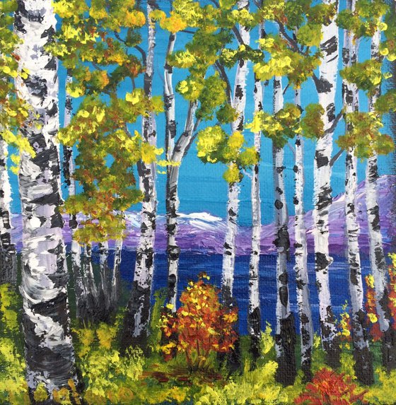 Birch forest