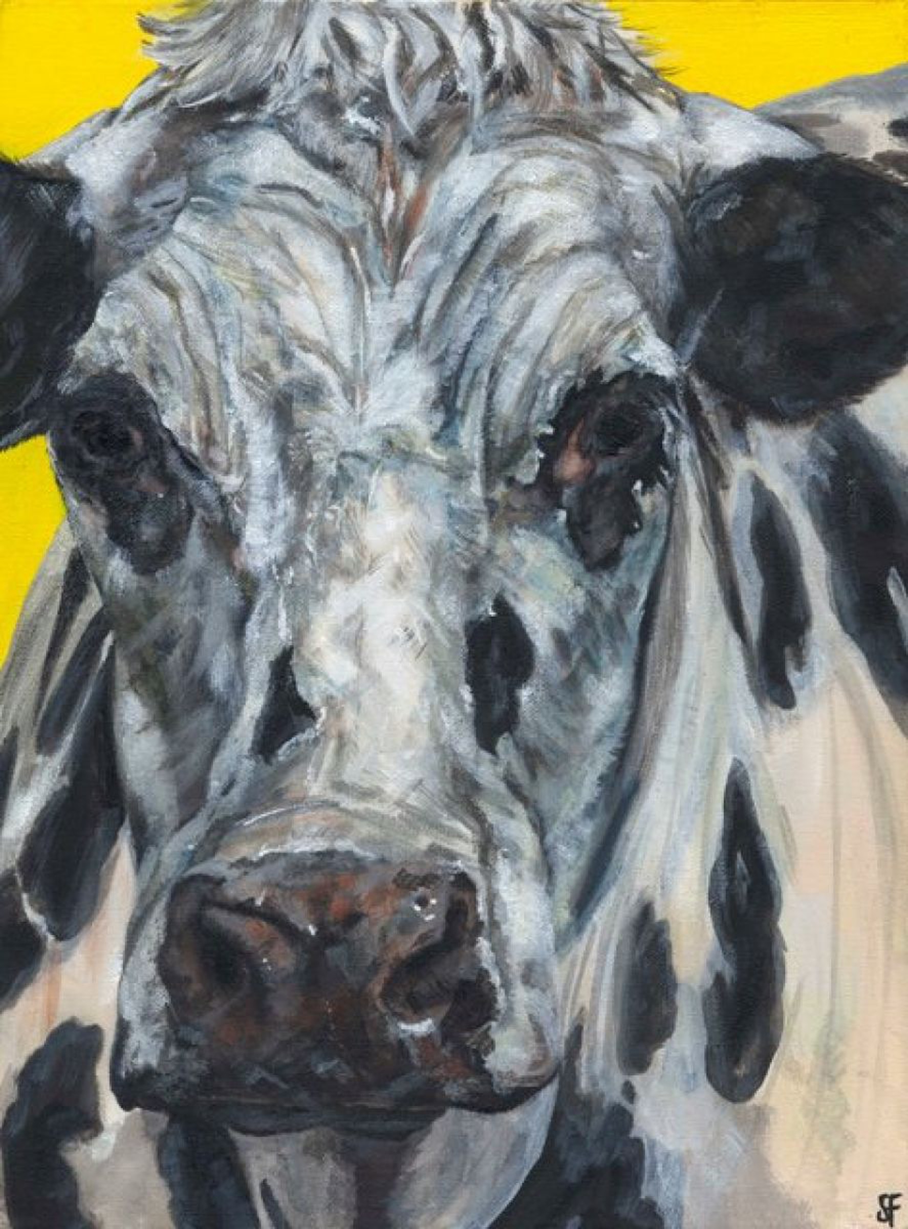 Moody Old Cow Painting By Sam Fenner Artfinder