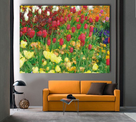 Tulipanes/XL large original artworks