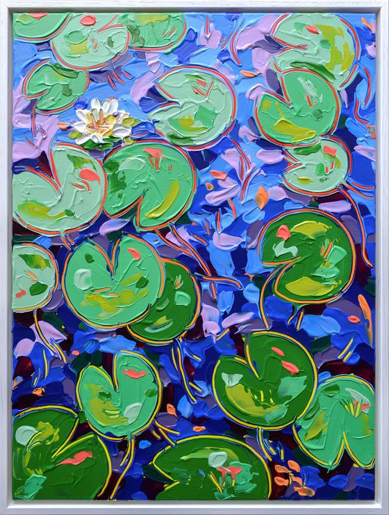 Tasman Lily Pond 25