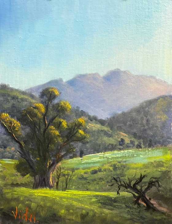 Elders Range Flinders