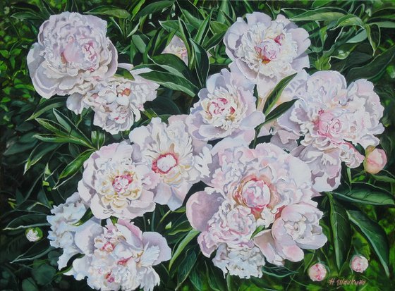 Peonies in Sunlight