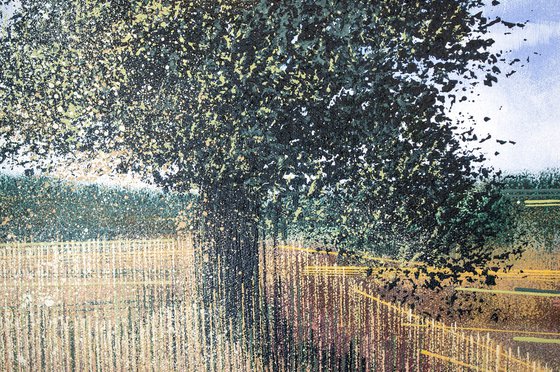 Meadow In Late Summer