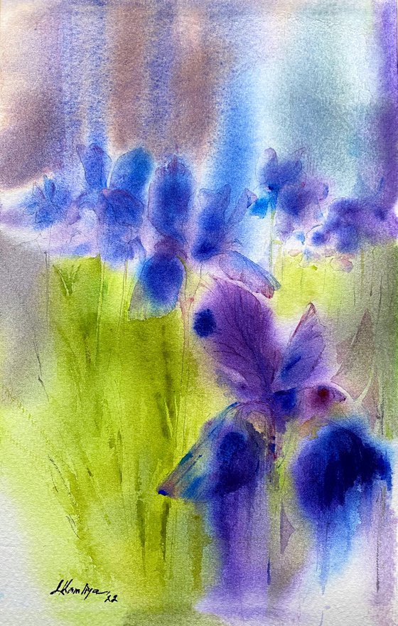 Irises