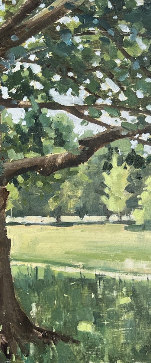 Tree on Clapham Common by Louise Gillard