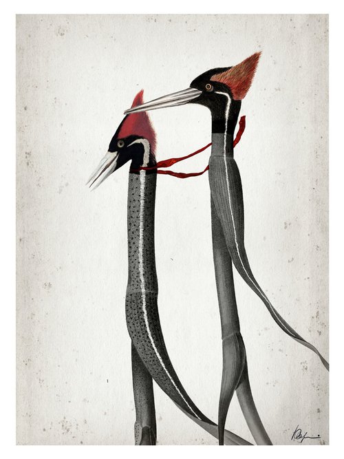Birds of a Feather by Yulia Saraeva
