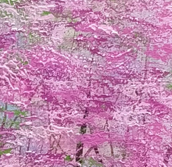 Magenta and Light