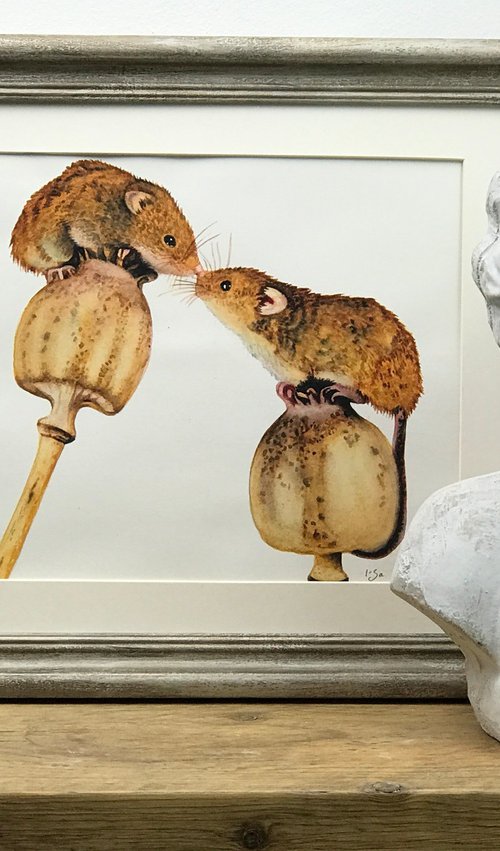 Kiss Me Fast by Irsa Ervin