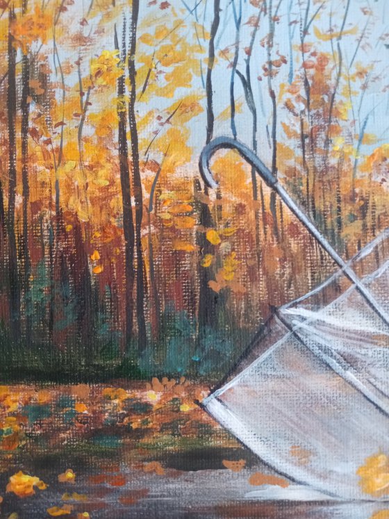 A forgotten umbrella in autumn