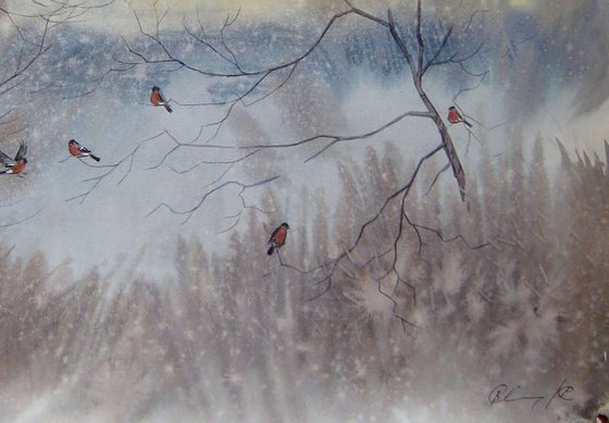 Bullfinches