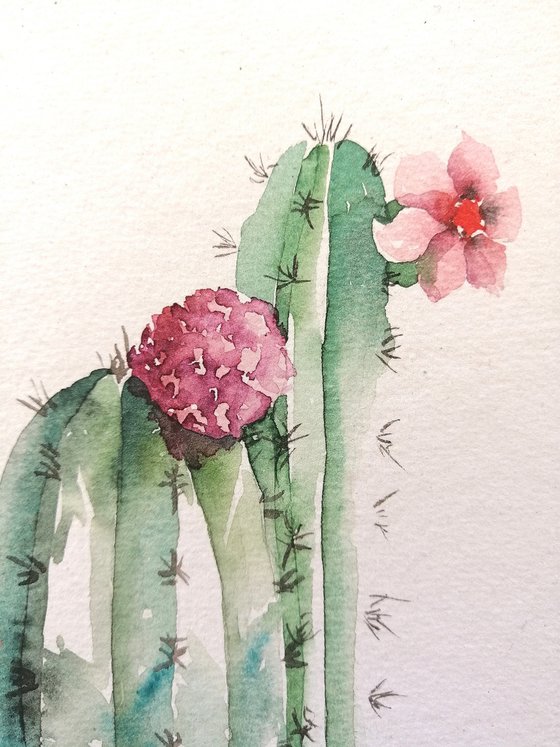 Cactus