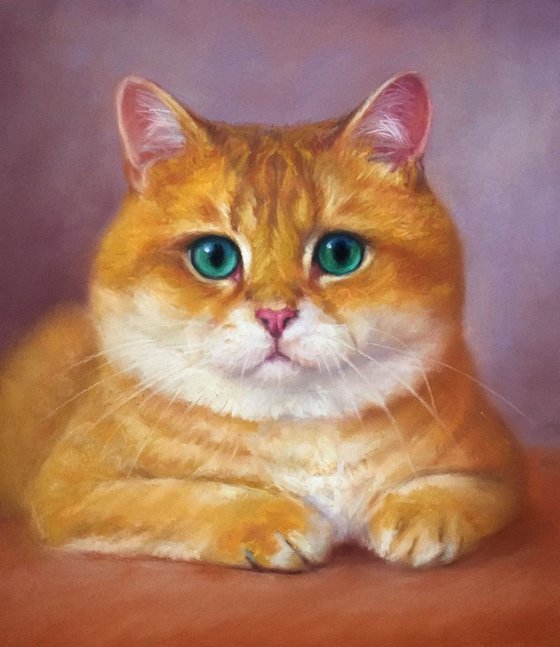 Orange Cat Portrait