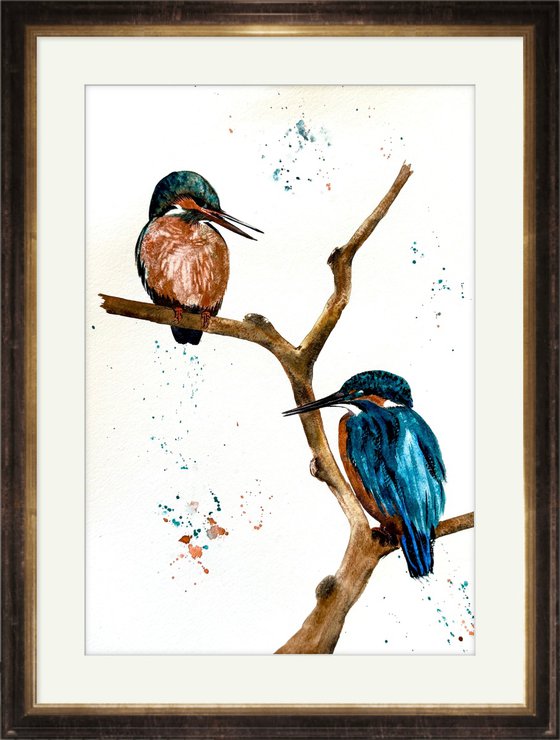 A pair of Kingfisher Birds