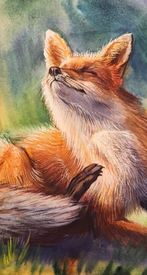 Red fox by Natalia Veyner