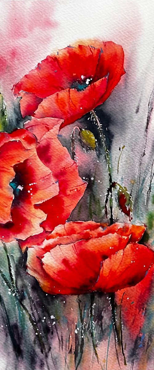 Red poppies Watercolor Flowers by Yana Ivannikova